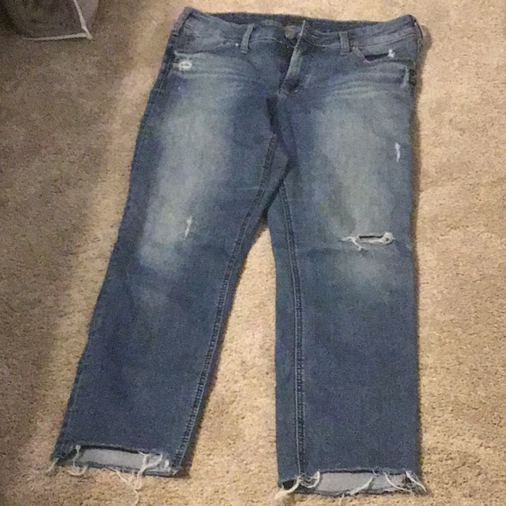 Silver cropped